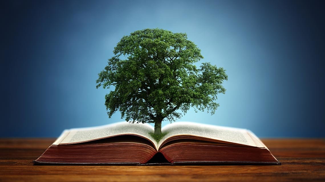 Любое человеческое знание. Знания мудрость. Книга знаний. Дерево знаний. Дерево с книгами.