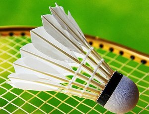 Badminton feather shuttlecock