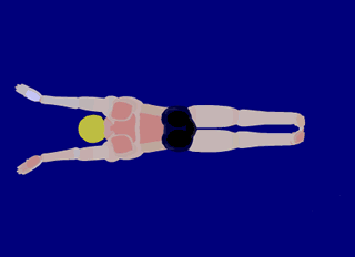 Как научиться плавать баттерфляем. Вид сверху.