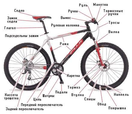 How to choose a bike: bike diagram